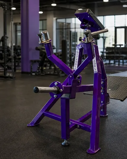 Citadel Strength T-Bar Row in Illusion Purple beside a gym window wall.